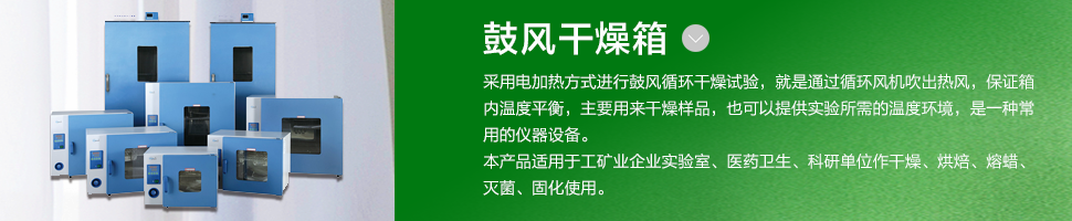 鼓風干燥箱